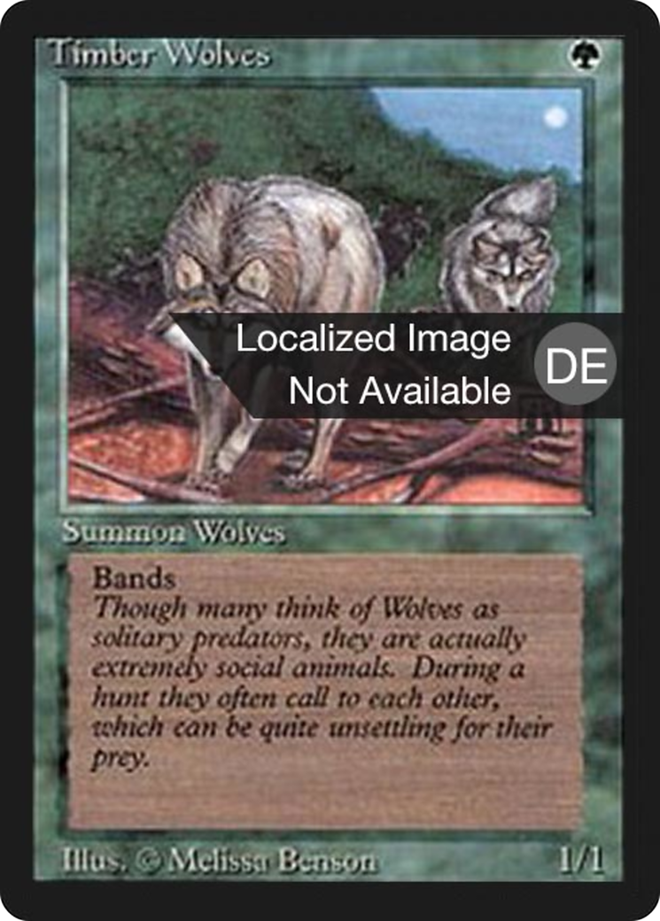 Magic: The Gathering - Waldwölfe - Foreign Black Border