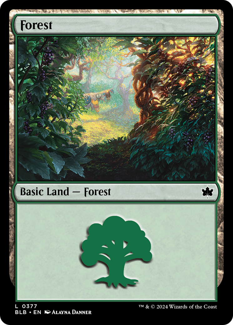 Magic: The Gathering - Forest - Bloomburrow