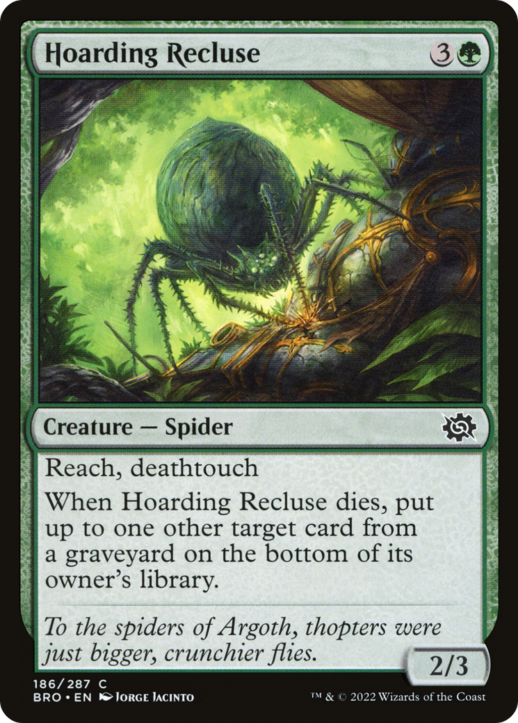 Magic: The Gathering - Hoarding Recluse Foil - The Brothers' War