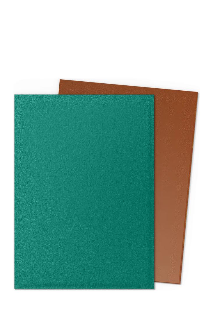 Dragon Shield - 100 Matte Dual Sleeves Standardgrösse - Power & Copper