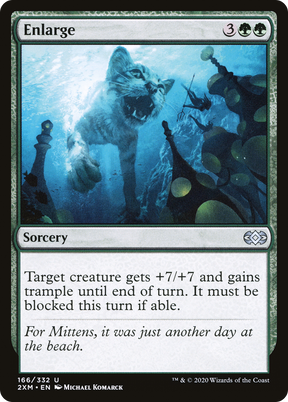 Magic: The Gathering - Enlarge Foil - Double Masters