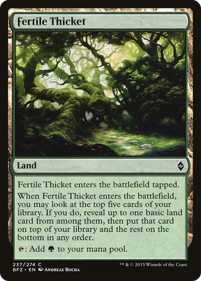Magic: The Gathering - Fertile Thicket Foil - Battle for Zendikar
