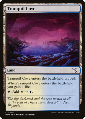 Magic: The Gathering - Tranquil Cove - March of the Machine