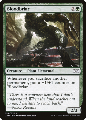 Magic: The Gathering - Bloodbriar Foil - Double Masters