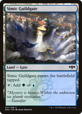 Magic: The Gathering - Simic Guildgate Foil - Ravnica Allegiance