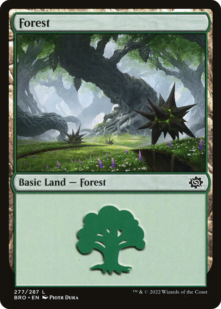 Magic: The Gathering - Forest #277 Foil - The Brothers' War