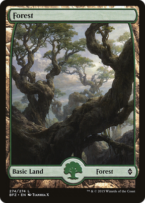 Magic: The Gathering - Forest #274 Foil - Battle for Zendikar
