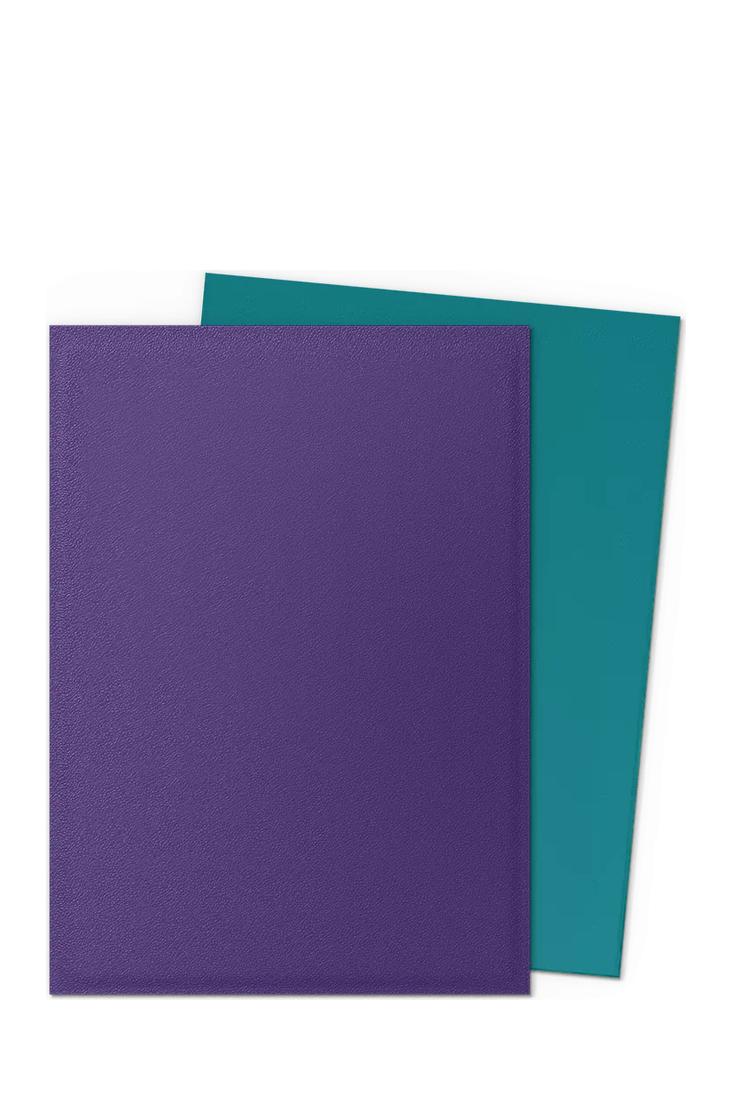 Dragon Shield - 100 Matte Dual Sleeves Standardgrösse - Soul & Petrol