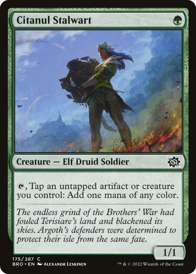 Magic: The Gathering - Citanul Stalwart Foil - The Brothers' War