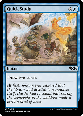 Magic: The Gathering - Quick Study Foil - Wilds of Eldraine