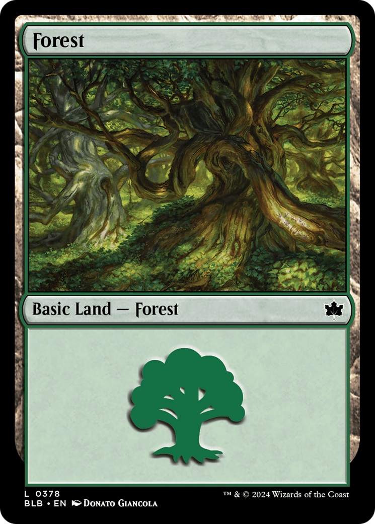 Magic: The Gathering - Forest #378 Foil - Bloomburrow