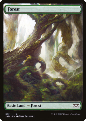 Magic: The Gathering - Forest #382 Foil - Double Masters