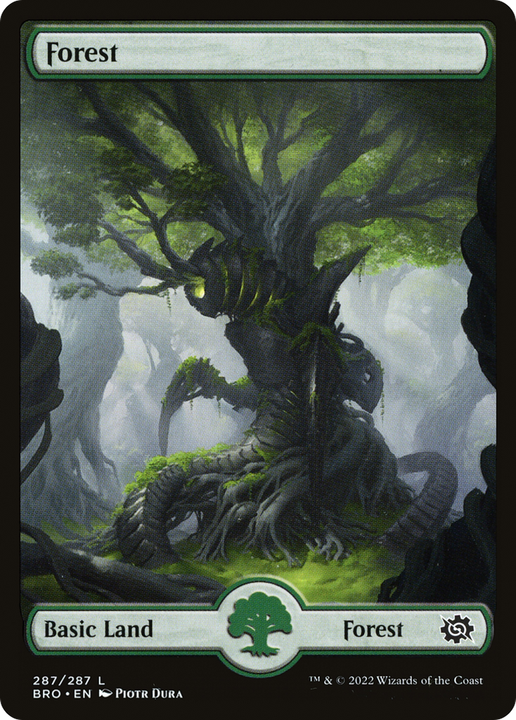 Magic: The Gathering - Forest - The Brothers' War