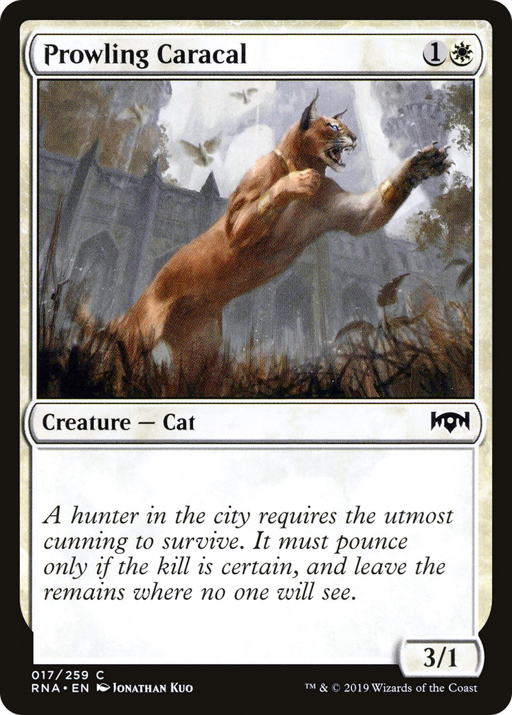 Magic: The Gathering - Prowling Caracal Foil - Ravnica Allegiance