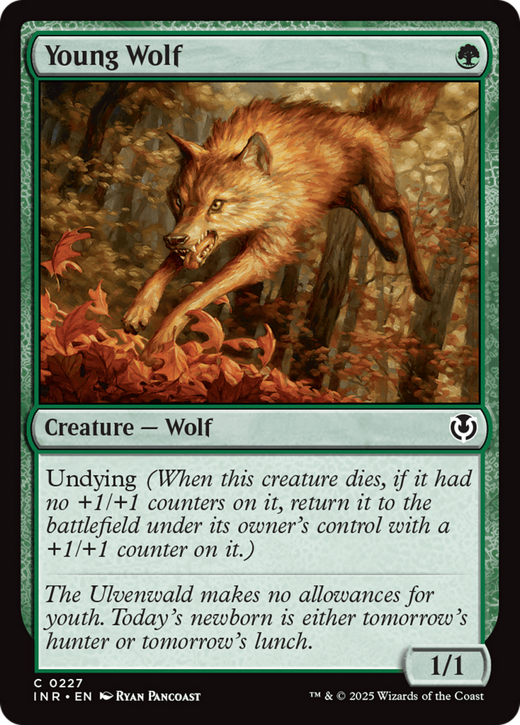 Magic: The Gathering - Young Wolf - Innistrad Remastered