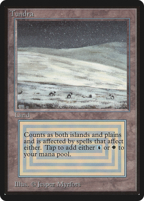 Magic: The Gathering - Tundra - Limited Edition Beta