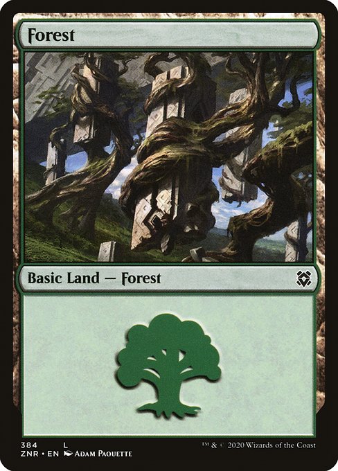 Magic the Gathering - Forest #384 Foil - Zendikar Rising