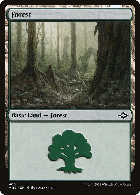 Magic the Gathering - Forest #489 Foil - Modern Horizons 2