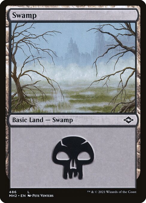 Magic the Gathering - Swamp #486 Foil - Modern Horizons 2