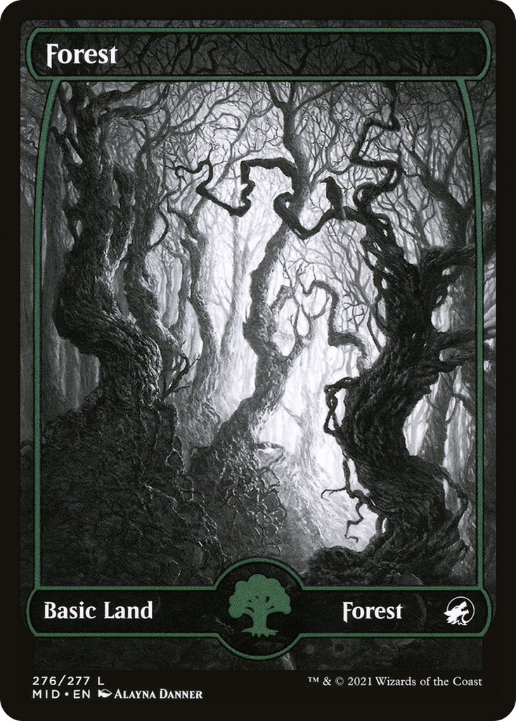 Magic: The Gathering - Forest - Innistrad: Midnight Hunt