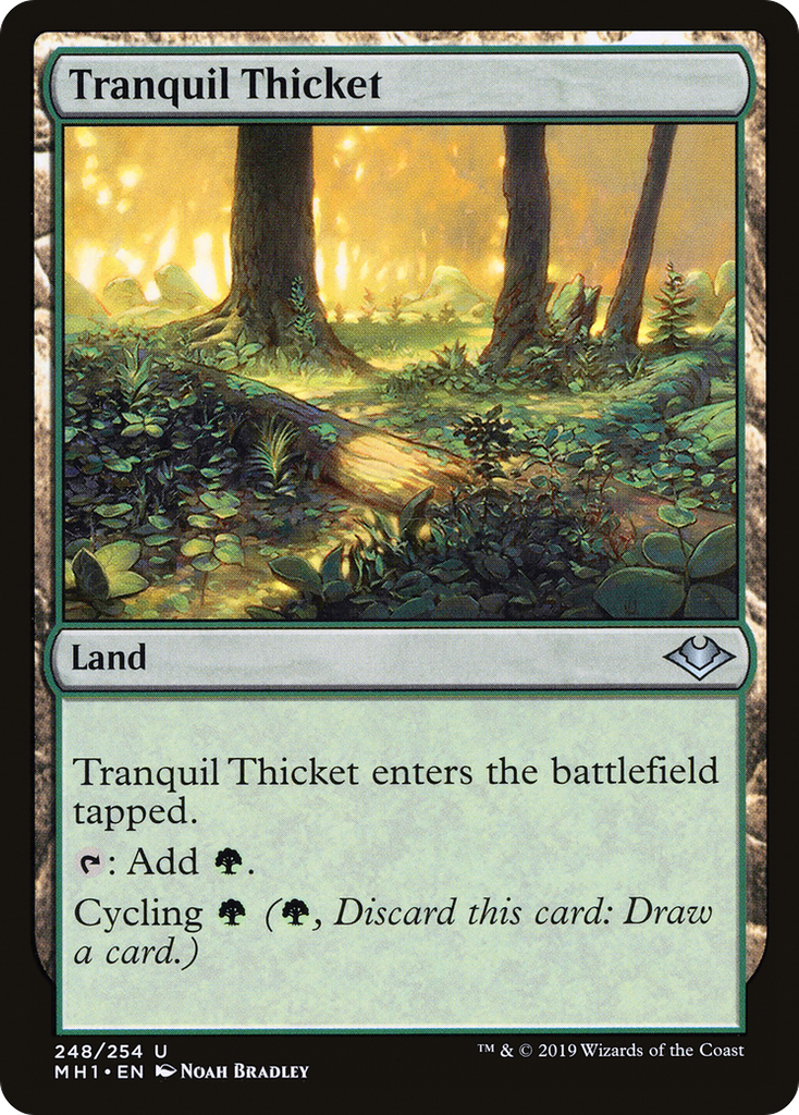 Magic: The Gathering - Tranquil Thicket - Modern Horizons