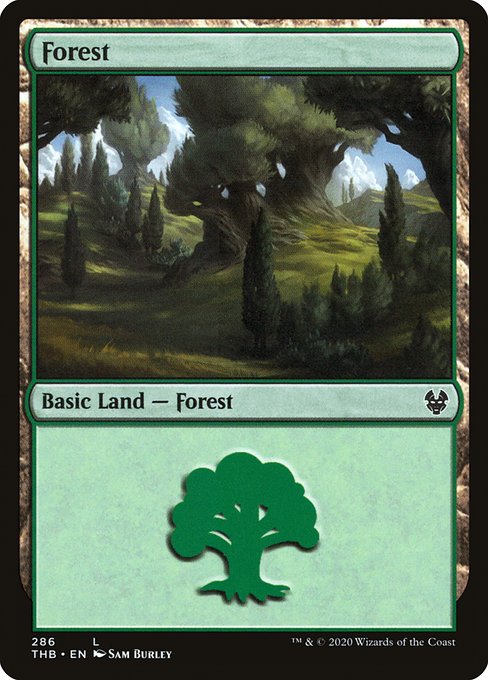 Magic the Gathering - Forest #286 Foil - Theros Beyond Death