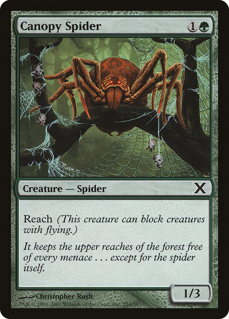 Magic: The Gathering - Canopy Spider - Tenth Edition